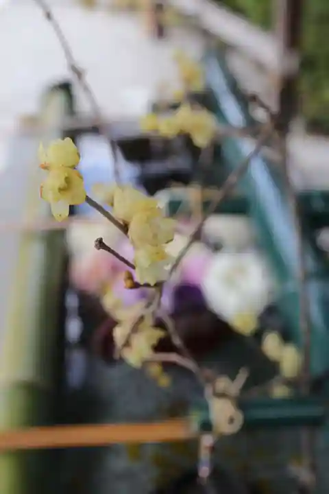 伊和志津神社の手水舎