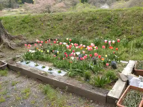 高司神社〜むすびの神の鎮まる社〜(福島県)