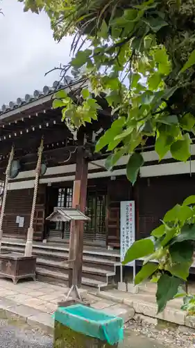 廬山寺（廬山天台講寺）(京都府)