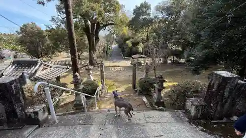 敷島神社(徳島県)