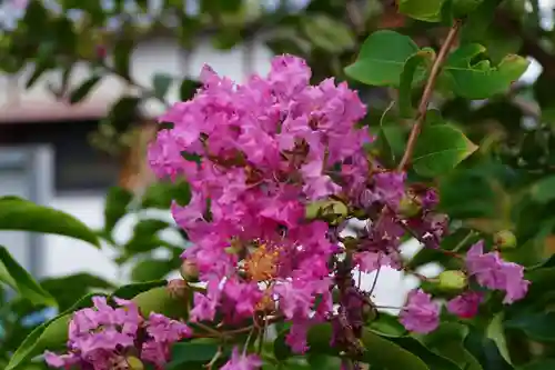 大松禅寺(京都府)
