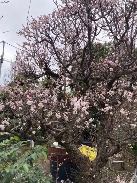 長松寺(神奈川県)