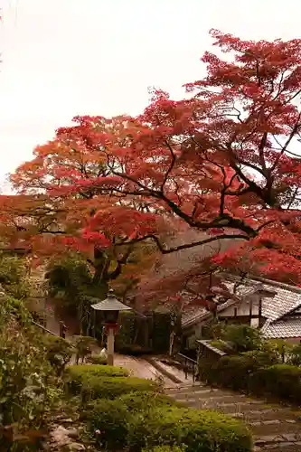 善峯寺(京都府)