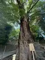 五所神社(神奈川県)