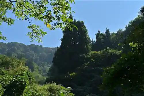 髙龍神社 中社(新潟県)