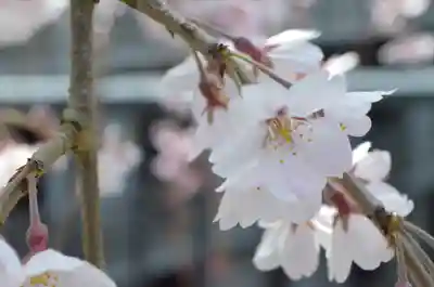 久遠寺(山梨県)