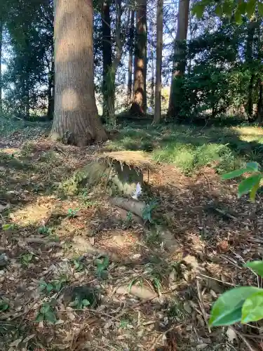 飯渕香取神社の{uncategorized: "未分類", other: "その他", undefined: "問題あり", building: "その他建物", grave: "お墓", sacred_gate: "鳥居", guardian: "狛犬", statue: "像", buddha: "仏像", history: "歴史", nature: "自然", garden: "庭園", animal: "動物", pagoda: "塔", temizu: "手水舎", mountain_gate: "山門・神門", sanctuary: "本殿・本堂", subordinate: "末社・摂社", art: "芸術", scenery: "景色", jizo: "地蔵", ema: "絵馬", goshuin: "御朱印", omikuji: "おみくじ", items: "授与品その他", amulet: "お守り", goshuincho: "御朱印帳", eats: "食事", festival: "お祭り", votive_dance: "神楽", shichigosan: "七五三参", wedding: "結婚式", experience: "体験その他", initially: "初詣", around: "周辺", anti_infection: "感染症対策"}