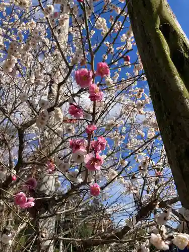 鷲神社(茨城県)