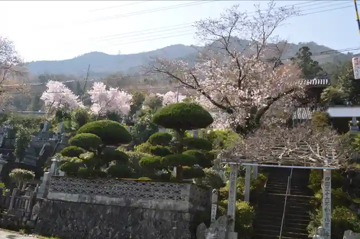 長善寺(徳島県)