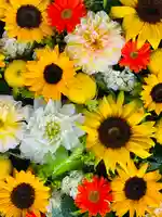 守りの神 藤基神社の手水舎