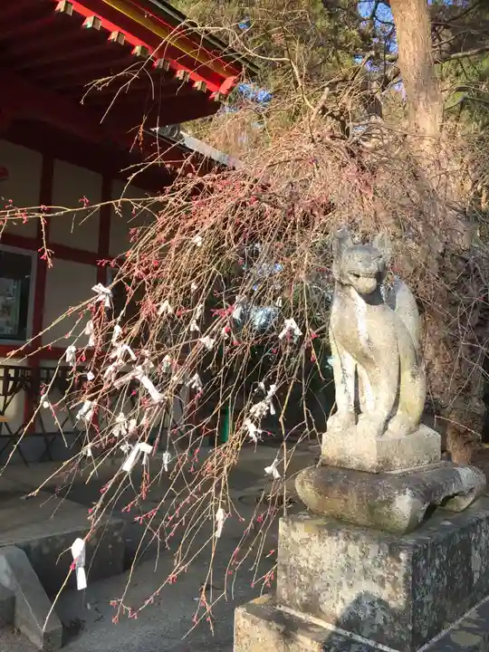 正一位 若草稲荷神社の狛犬