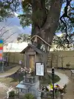 大法寺の像