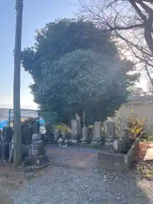 三観寺(神奈川県)