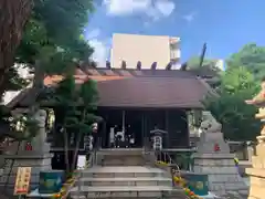 高円寺氷川神社の本殿