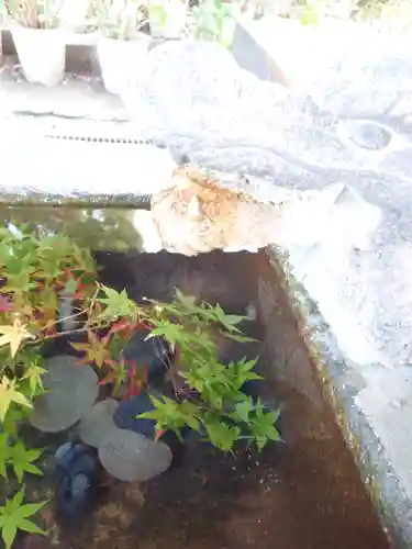 大依羅神社(大阪府)