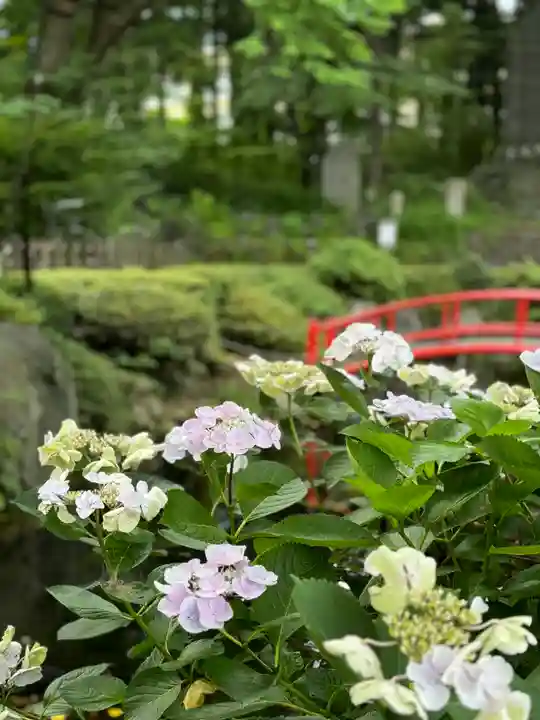 小室浅間神社(山梨県)