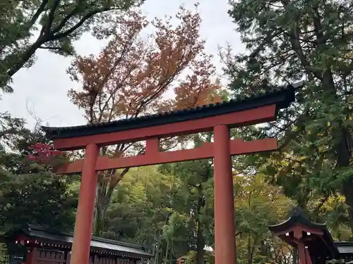 武蔵一宮氷川神社(埼玉県)