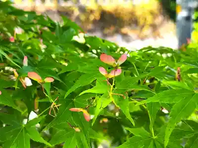 平林寺(兵庫県)