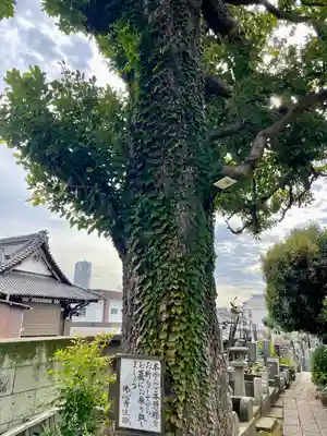 佛心寺(東京都)