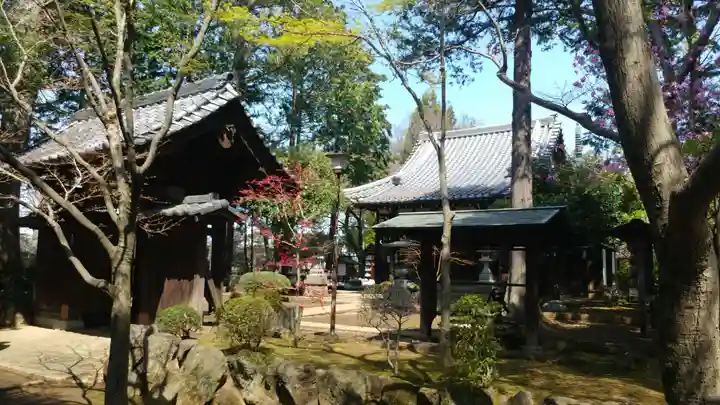 豪徳寺のその他建物