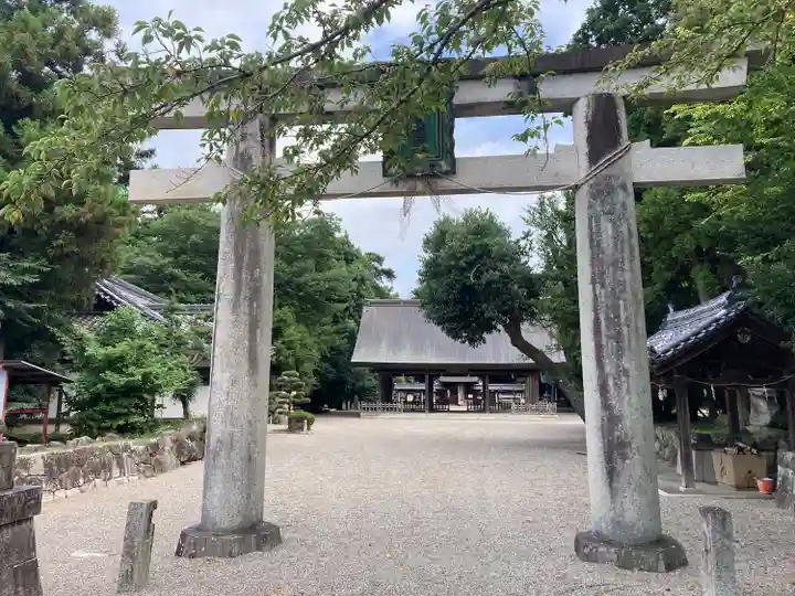活津彦根神社の鳥居