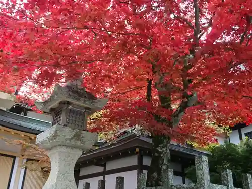 壇上伽藍のその他建物