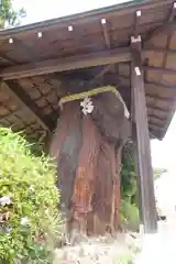 大神神社の自然