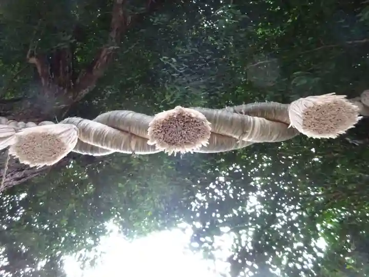 亀ケ池八幡宮の自然