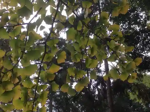 永谷天満宮の自然