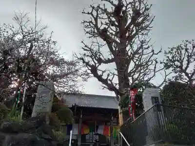 長福寺(神奈川県)