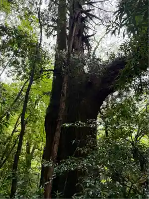 二上神社(宮崎県)