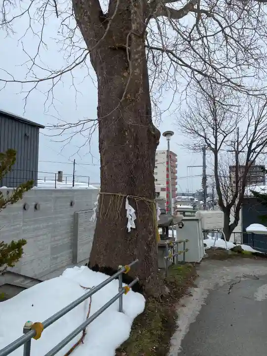 龍宮神社(北海道)