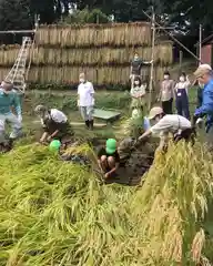 糀谷八幡宮(埼玉県)