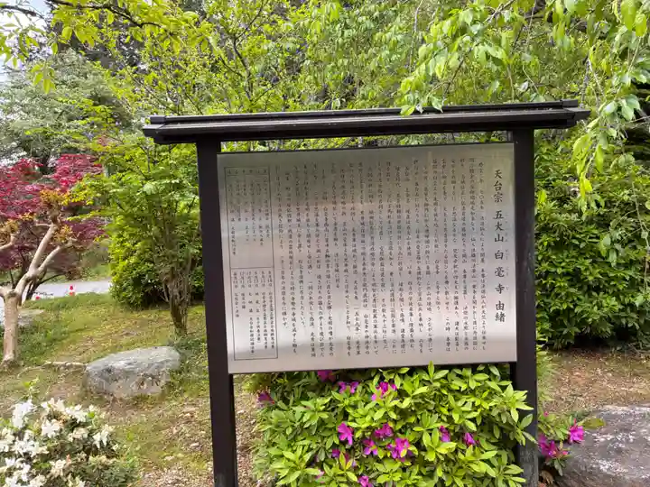 天台宗 五大山 白毫寺の歴史