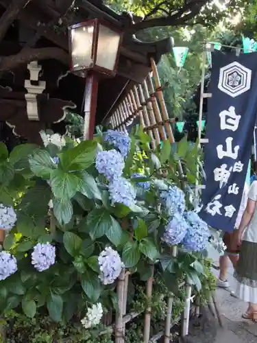 白山神社の庭園