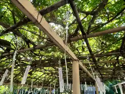 金蛇水神社(宮城県)