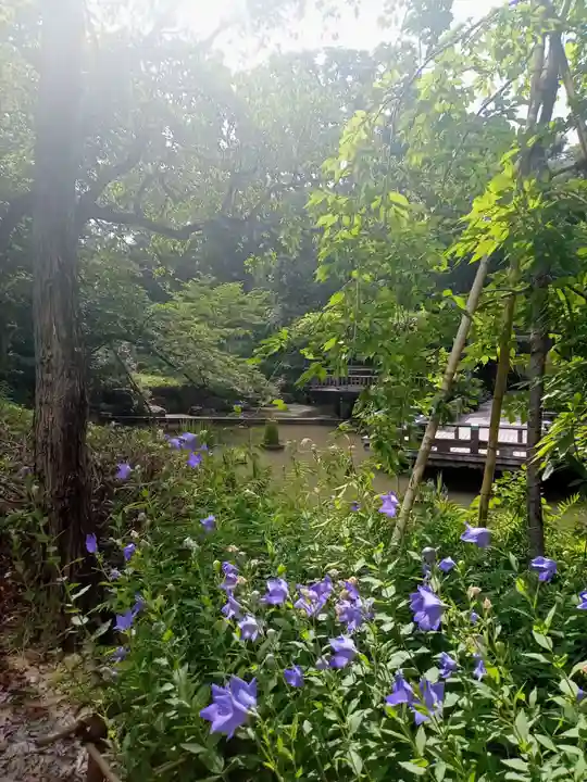 東郷神社(東京都)