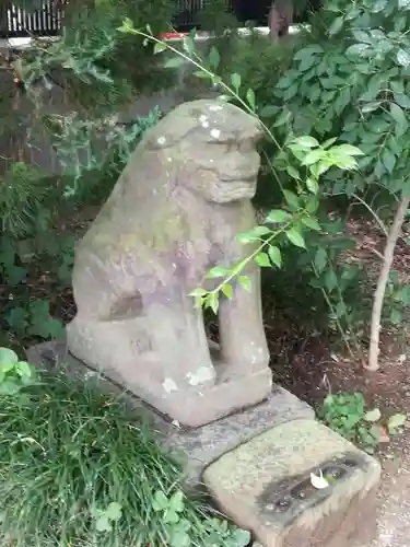 越谷香取神社の狛犬