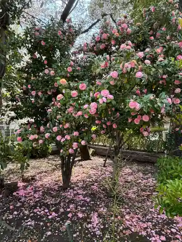 潮田神社(神奈川県)