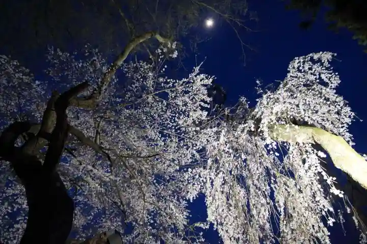 田村神社の自然