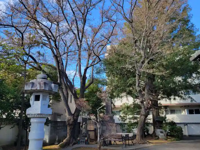 圓蔵寺の建物その他