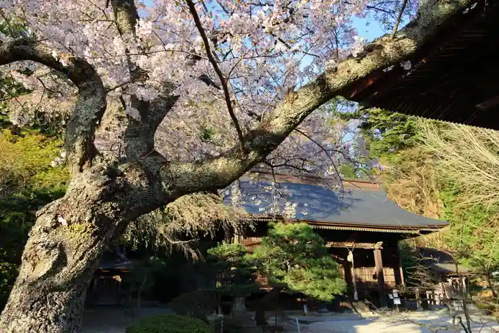 田村大元神社の自然