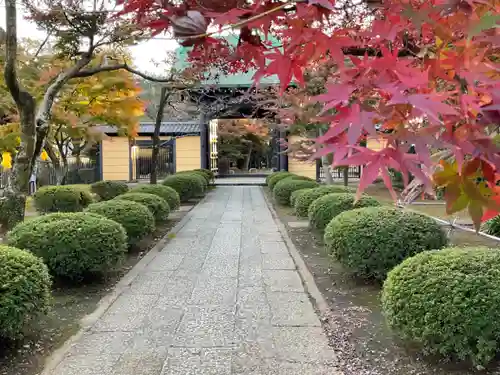 豪徳寺のその他建物