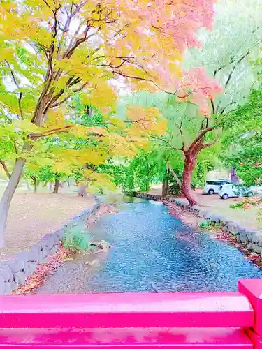 札幌護國神社の景色