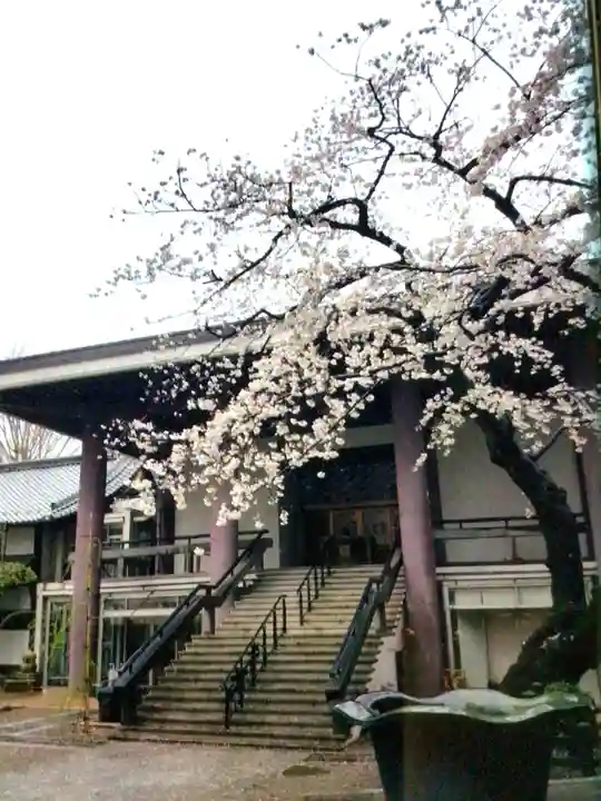 常圓寺(東京都)