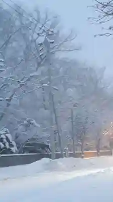 新琴似神社の周辺