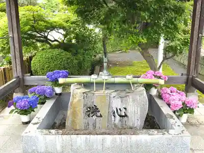 曼荼羅寺の手水舎