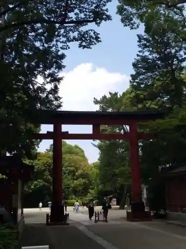 武蔵一宮氷川神社の鳥居