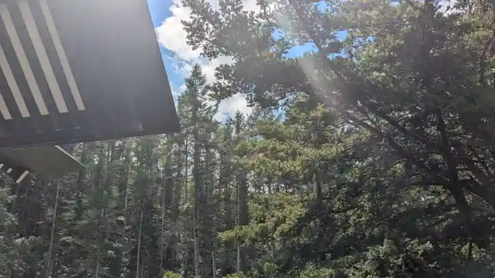 忠類神社の自然