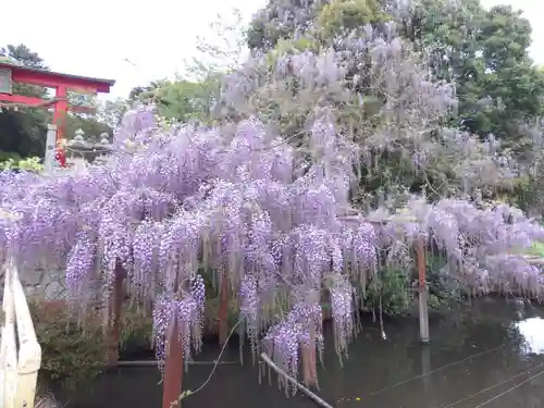 嘉川八幡宮(山口県)
